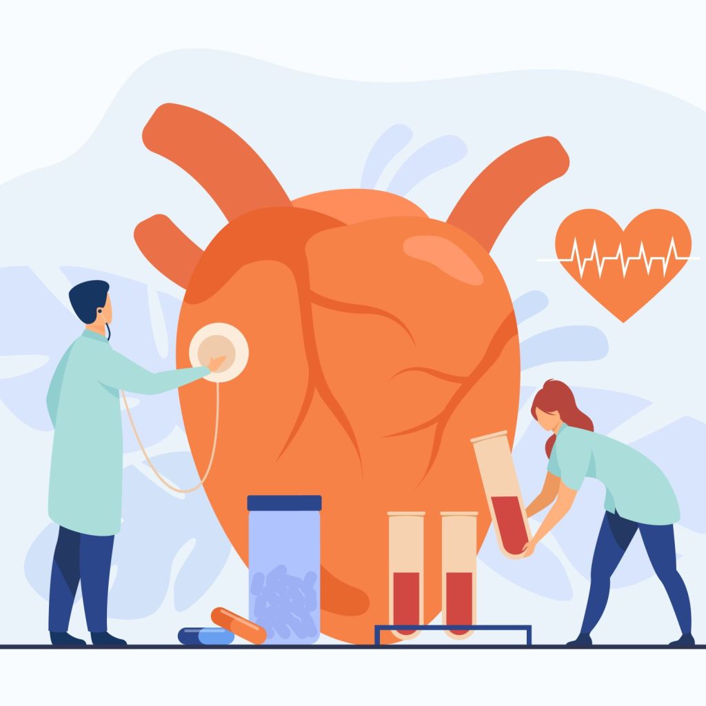 Cardiologie et chirurgies cardiaques et vasculaires